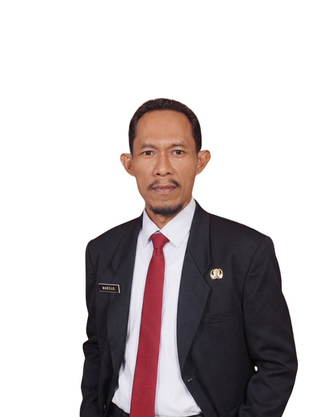 Kepala SALUT